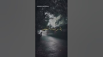 سورة يوسف  ، آية 24