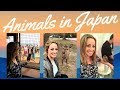 JAPAN | Holding OWLS, petting DEER &amp; hanging with MONKEYS