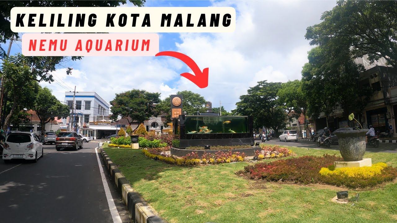 Kota Malang 2024 - ada Aquarium Ikan Koi OUTDOOR 😱😱