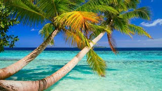 Relaxation with Tropical Beach Ambience ☕Ocean Wave Sounds & Bossa Nova Music for Stress Relief