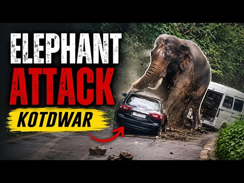 Elephant Attack | Kotdwar Uttarakhand