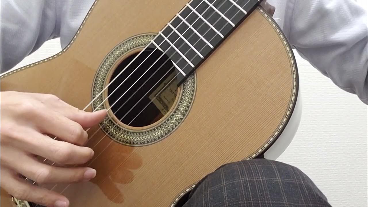 Paulino Bernabe パウリーノ・ベルナベ ロイヤル ROYAL 杉・ブラジリアンローズウッド 2023年製【クロサワ楽器日本総本店