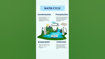 Water cycle || Evaporation condensation precipitation and collection || #science #knowledgeispower