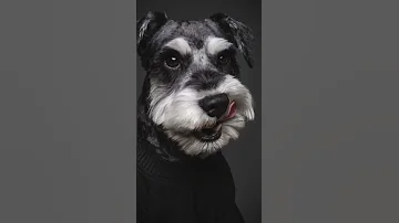The Cutest Dog Online Dogs Doglovers Puppies 