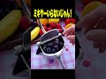 【神回】TikTokにアフレコしてツッコんでみたらヤバかったwwwwwwwwwwww【第1578弾】 #shorts #ボケとツッコミ #爆笑 #tiktok #ツッコミ