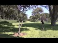 2013 Santa Maria Open Part 2