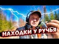 ОТКУДА ЗДЕСЬ ЭТО ВЗЯЛОСЬ? НАХОДКИ У СТАРОГО РУЧЬЯ.