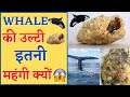 Whale        whale vomit  pp facts shorts viral facttechz