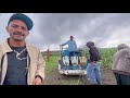 Dealing with Weeds in the Campo - Our Journey in Mexico After Deportation