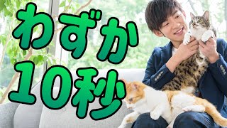 10秒でできる【最強のストレス対策】がこちら