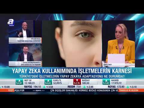 Türkiye'de İşletmelerin AI Adaptasyonu