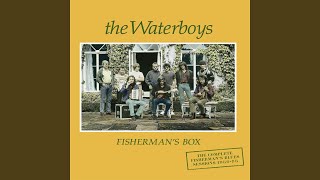 Watch Waterboys And A Bang On The Ear video