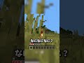 ランダムに姿が変わる世界がヤバすぎた…#チャレンジ #最難関 #minecraft #マインクラフト