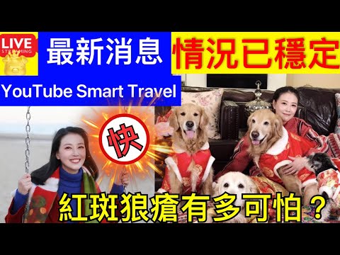 Smart Travel《娱乐八卦》｜周海媚最新消息 系統性紅斑狼瘡復發可怕嗎? 瘋傳周海媚逝世！ 周海媚被誤傳離世噩耗 疑血小板問題暈倒送院，目前仍處於昏迷狀態 ｜周海媚傳離世 ‎ 娛圈秘聞