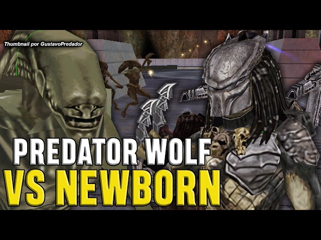 Aliens vs. Predator engine fully playable on NGP/PSP2 – Destructoid