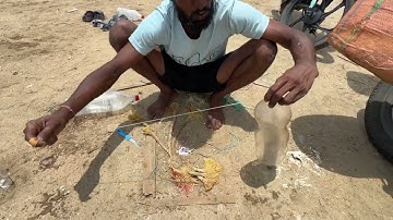 How to Make a 2.5L Bottle Trap to Catch Mullet Fish, பாட்டில் ட்ராப் மூலம் மடவை மீன் பிடிக்கும் முறை