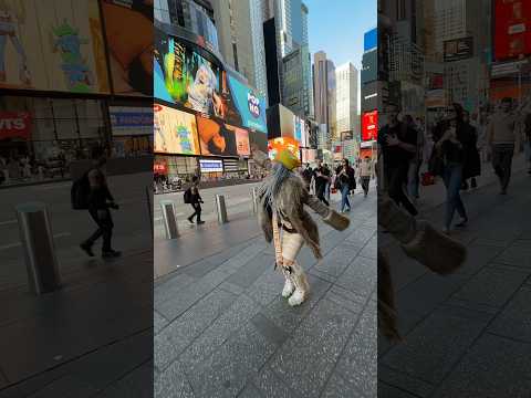 city girl smooch living her dream