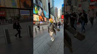 Famous city girl smooch living her dream Wealth