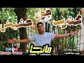 حصريا كليب Music Video هشرب چوان حشيش دي حبيبتي عسل وكيوت غناء مانجا تصوير ومونتاج مينا أشرف