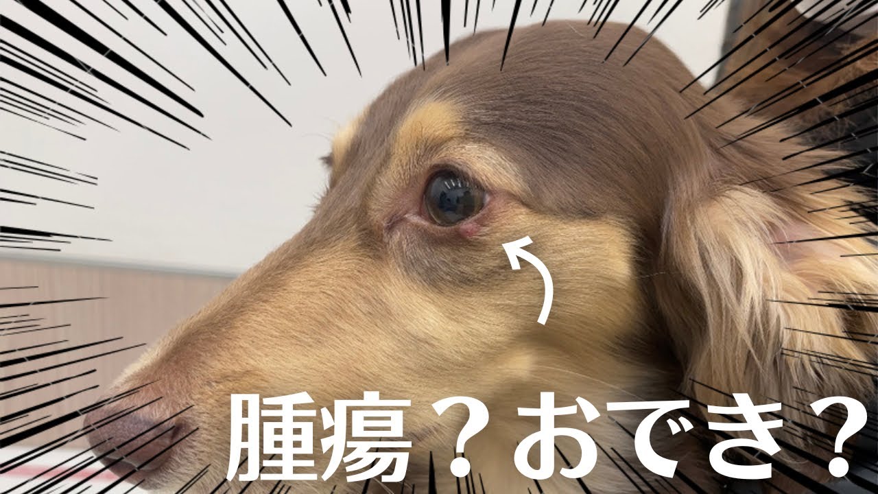 おできはどうすれば治りますか?