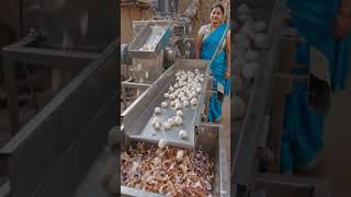 Smart Garlic Peeling Machine! 🧄
