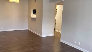 Meet the 2019 Renovated Pine / Reed floor plan
