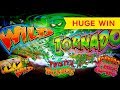 wild casino no deposit bonus - YouTube