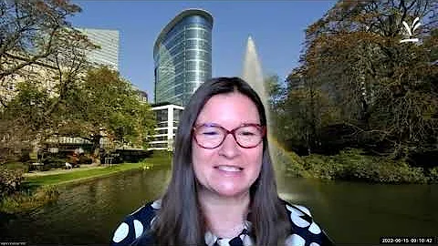 ERC Synergy Grant Webinar