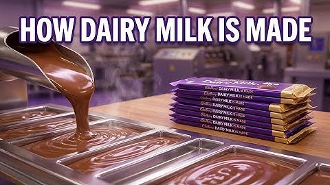 “Inside the Chocolate Factory: From Cocoa Beans to Delicious Chocolate Bars!”