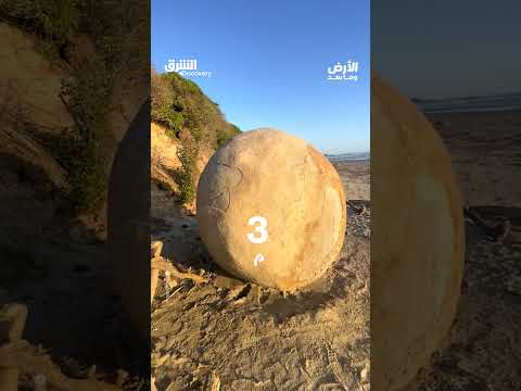 بيض التنين: نظرة على عالم الخيال