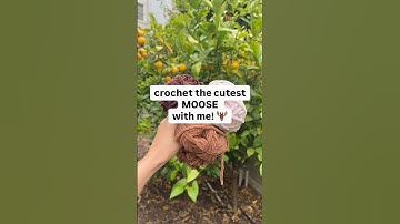 crochet a moose with me! what do you think? 🫎 #crochet #amigurumi #crochettutorial #moose