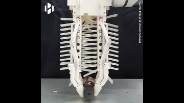 A new type of robotic gripper developed by scientists