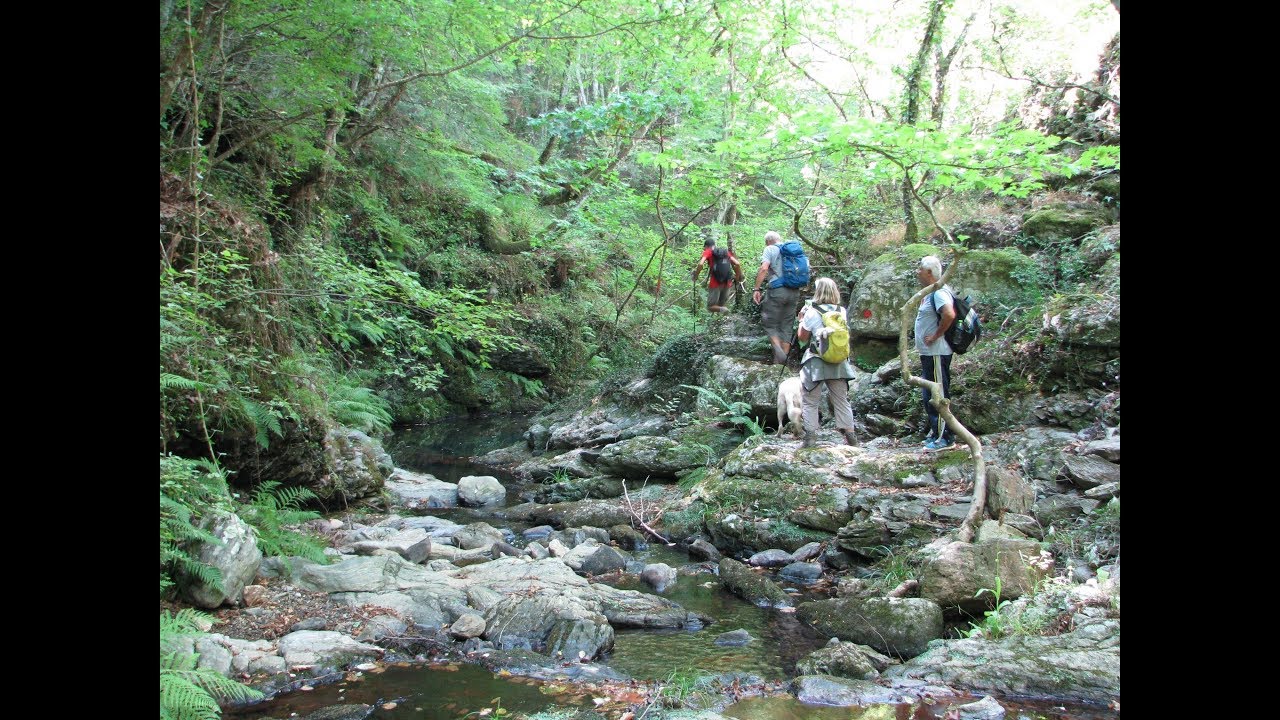 Βλαχοκερασιά - Δάσος Σκιρίτιδας 22-09-2019 (is_pk)