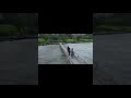 #reels #viral #video #enjoy #fun #masti