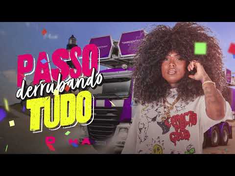 PASSO DERRUBANDO TUDO🛻