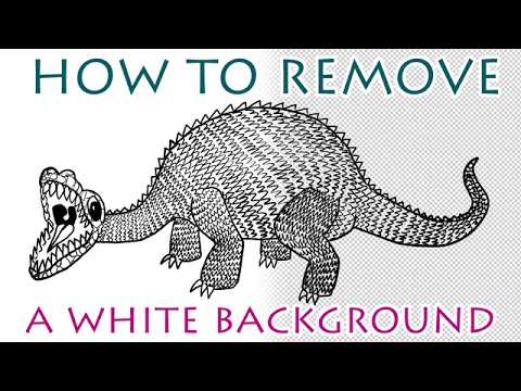 Photoshop Tutorial - How To Remove A White Background