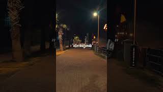 Benim Koklamaya Kıyamadığım... Resimi