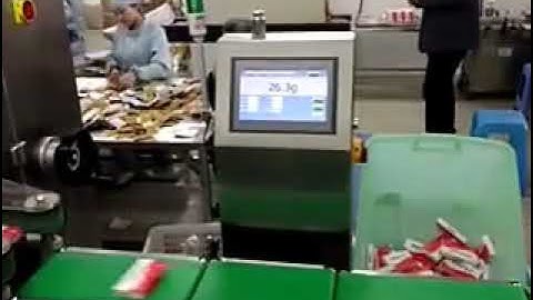 Food bag weight checking machine product bag weight checking line with rejection system