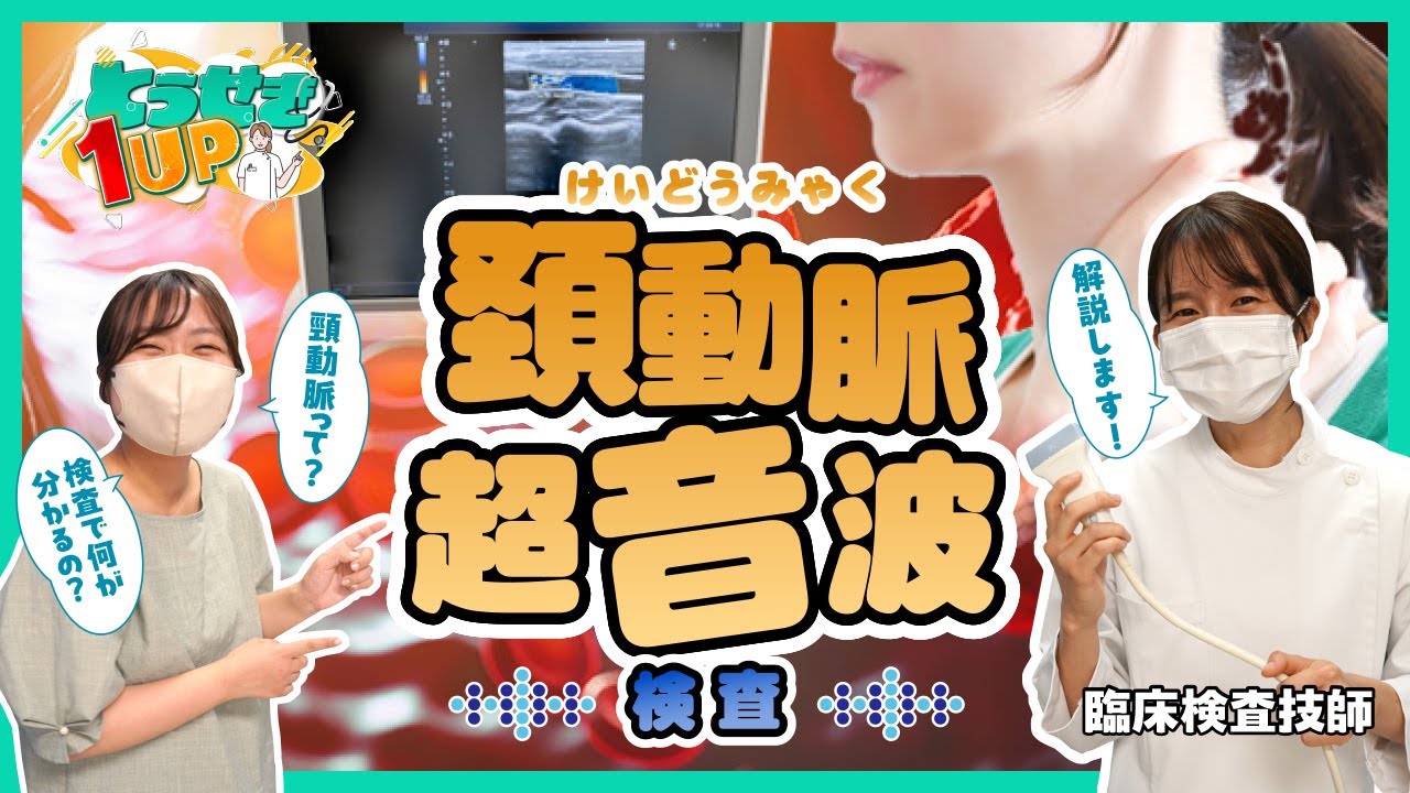 実際に体験してみた！】頸動脈超音波検査（頸動脈エコー検査）って