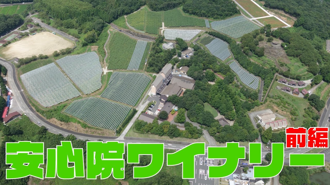 安心院葡萄酒工房（大分県）〜 前編