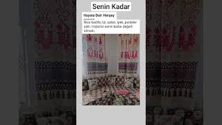Senin Kadar Resimi