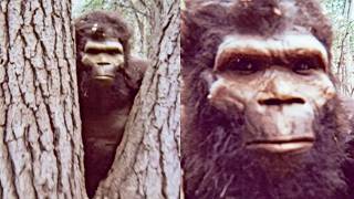 You Should NOT Watch These Stunning NEW Real Bigfoot Encounters Alone (Too Disturbing)