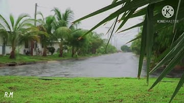 سورة الفرقان - koran -عبدالرحمن الحميداني