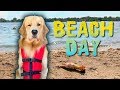 Taking My Dog To The Beach Taking My Dog To The Beach