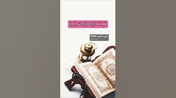 سورة التوبة الاية 89-91