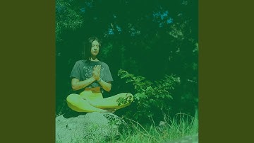 Extraordinary Koto and Strings - Vibe for Spa Treatments