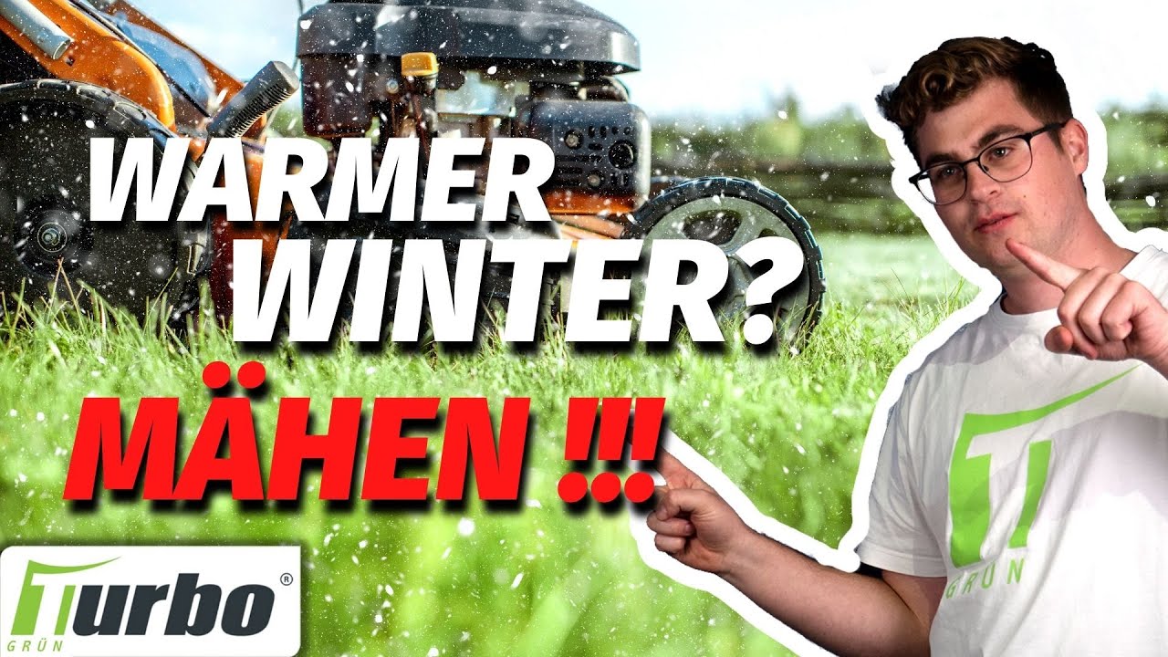 Rasen 🌱 mähen und Rasen aerifizieren im Winter ️!? Akku Rasenmäher