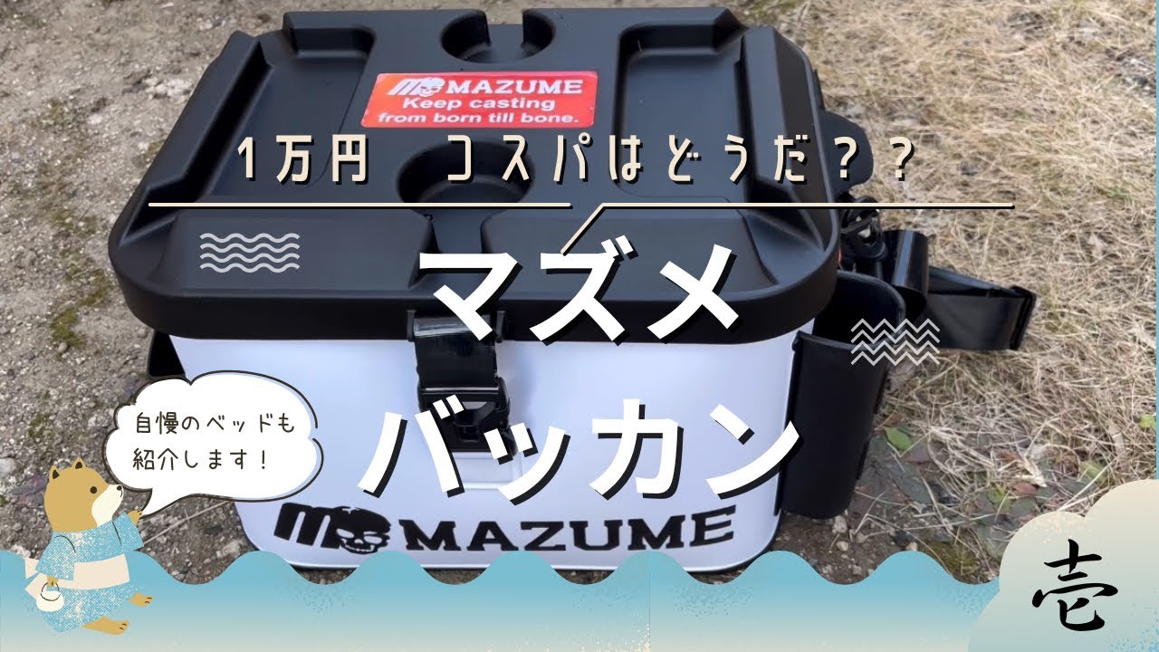 マズメバッカン#マズメ#コスパ - YouTube