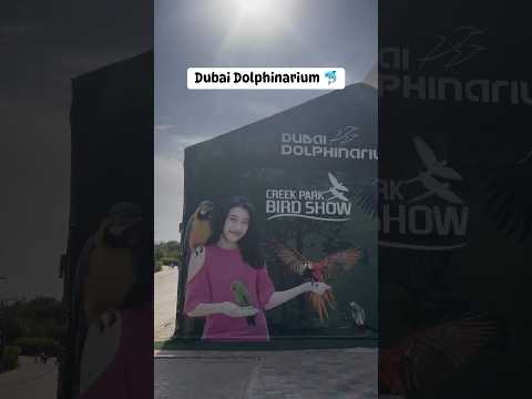 Dubai Dolphinarium 🐬