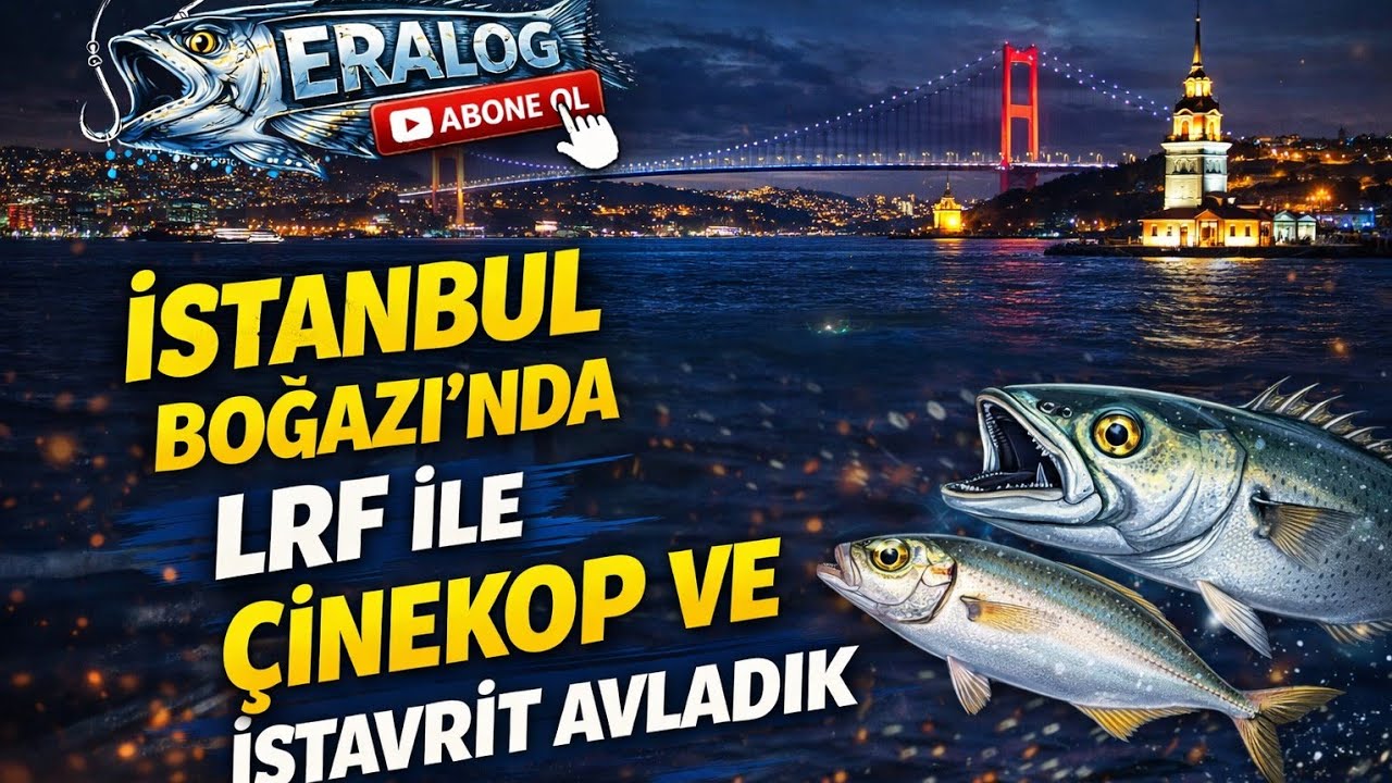 istanbul boğazında lrf ile istavrit çinekop ve izmarit avladık